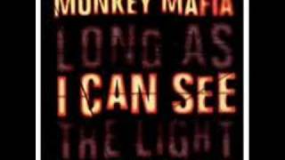 Long as I can see the light - Monkey Mafia - Adrian Sherwood mix.wmv