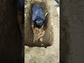 Tukang Gali Kubur Menemukan Video Sorts