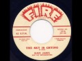 The Sky Is Crying -  Elmo James