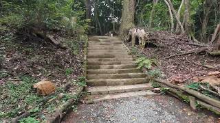 白鳥神社⛩️ヤマトタケルノミコト様がご祭神の宮崎県えびの市にある、ジブリの世界に入ったような厳かな風格のある神社参拝