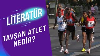 Literatür 17. Bölüm: Tavşan Atlet Nedir?
