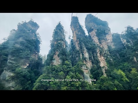 Zhangjiajie National Forest Park (China) Video