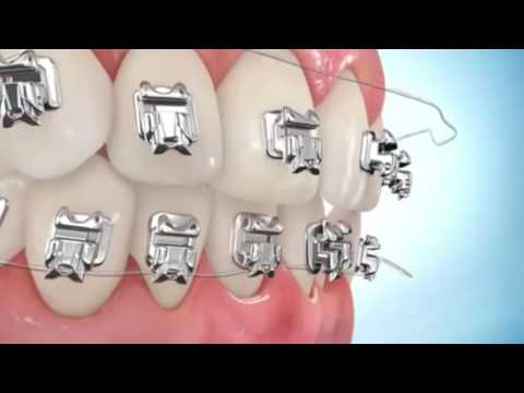 Klinik Pergigian Syarifah - Kemaman, Kuantan & Dungun