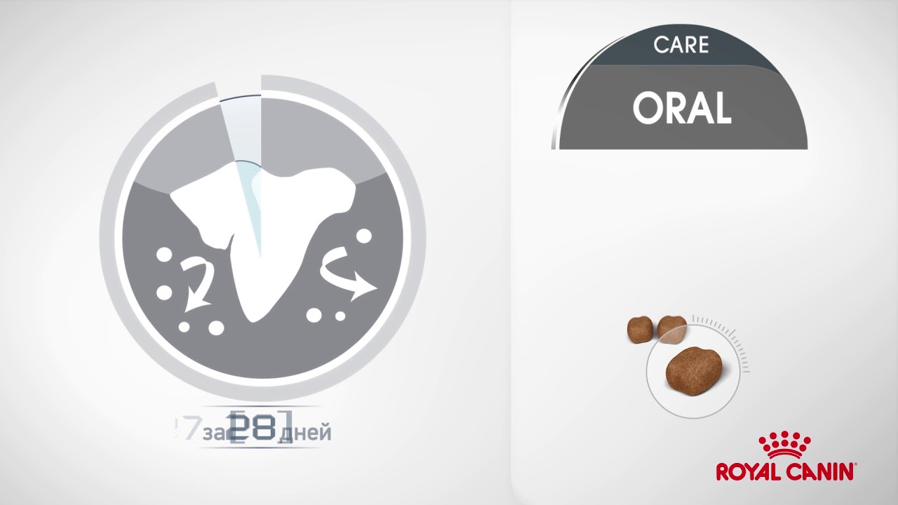 Royal Canin Oral care