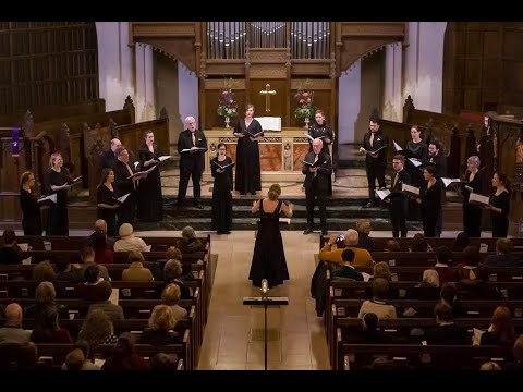 Play Video Youtube Video