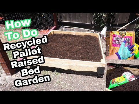 How To Build a Raised Bed Garden