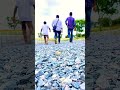 Custody Bgm Nagachaitanya Maapresents