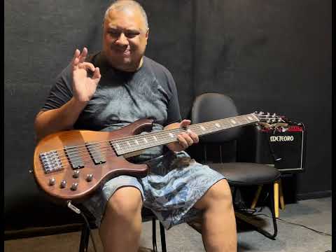 .Strinberg SAB 66 DW com Caps “EMG 45DC”. ASSISTAM ATÉ O FIM DO VÍDEO