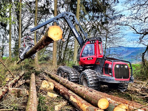 🌲*BIG TREES* • Heavy Komatsu • Komatsu 951 & C164 • HarvesterAction • Forst Stöppler • Fast working🌲