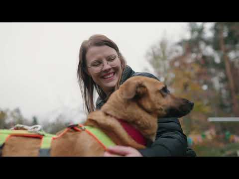 Mein Verein Mein Herzschlag - Tierheim Fulda Hünfeld e. V.