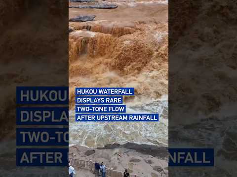 Hukou Waterfall displays rare two-tone flow after upstream rainfall #coolchina