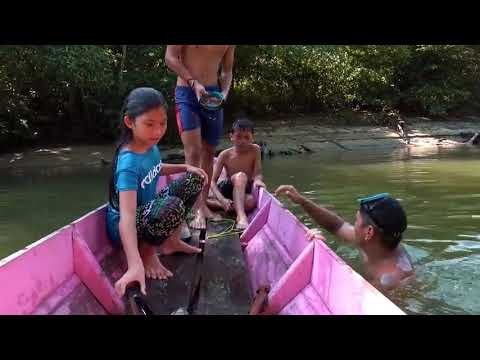 Borneo  Death  Blow     Full  Documentary