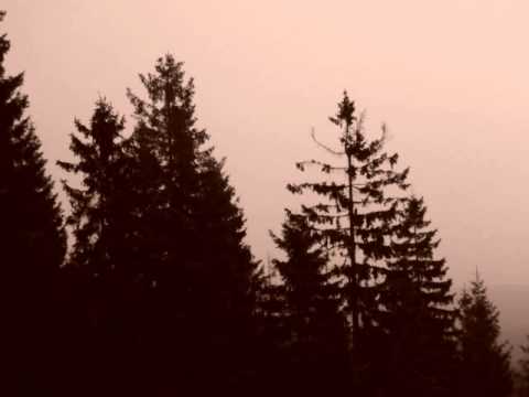 JUNO 1 Smutnyj vecur