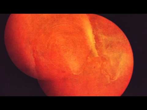 Casino Versus Japan - Vessels That Float Out of Metals That Sink (pt. 1-5)