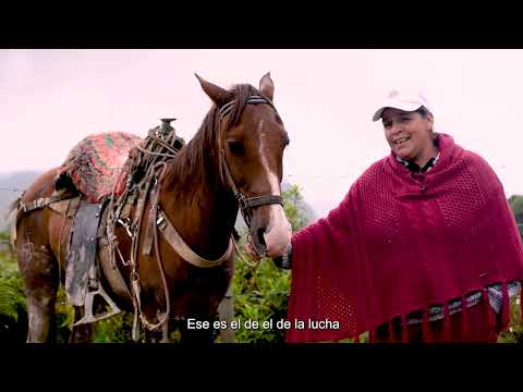 ZRC / Venecia - Las trochas de la paz no contada 🕊️