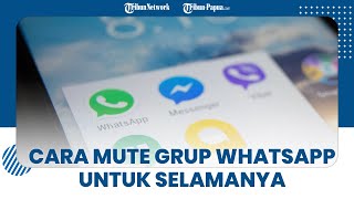 Cara Mute Grup WhatsApp untuk Selamanya, Tak akan Muncul Notifikasi