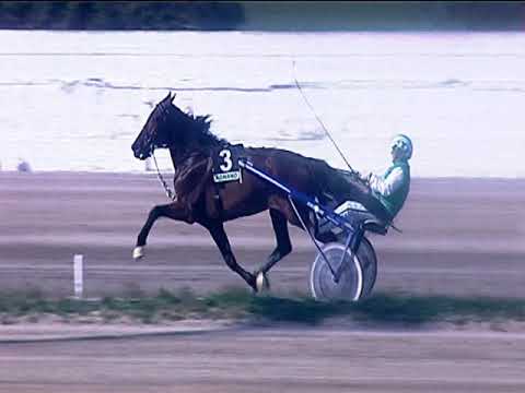 Trotto 22/03/2019 - 1ª corsa