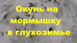 Мормышка на окуня в глухозимье