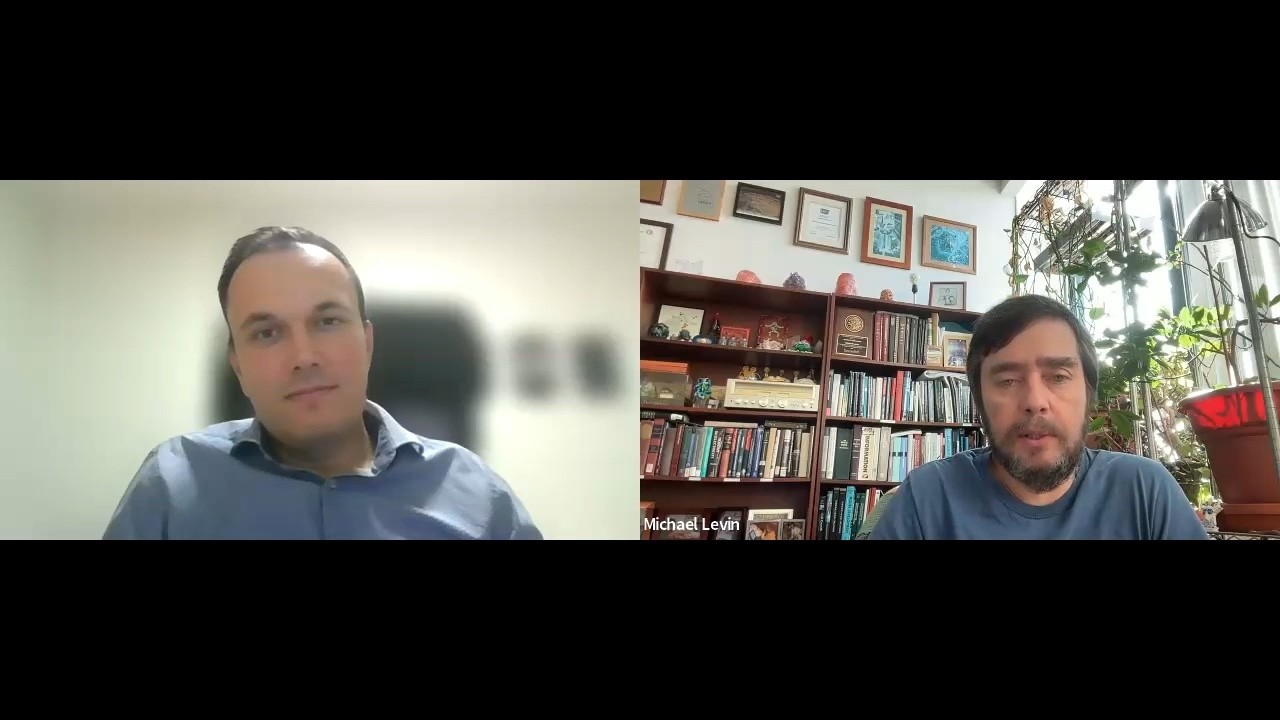 Conversation #1 with Martin Šolc: the law and diverse intelligence