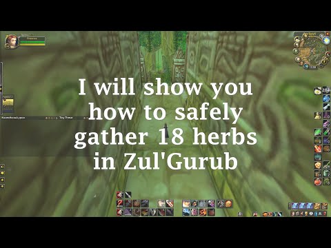 Rogue Solo Bloodvine Farm Guide