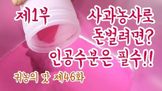 사과 농사로 돈벌려면? 사과수정(인공수분) 필수!! 꽃가루 면봉? 러브터치? 엔진형 인공수분기?  냉해만 아…