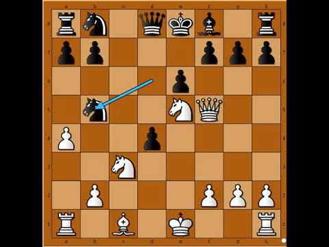 Napad iznad svih očekivanja 😎🎯🎯🎯🤩 NADEL vs MARGULIS #2589