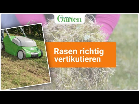 Gartentipp: Rasen vertikutieren - Anleitung für einen gesunden und schönen Rasen