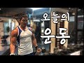 등 이두 간결하지만 강력한 루틴