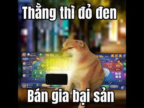 Cheems đầu đường xó chợ #pmson #edit #cheems