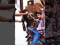 Funny Qurbani Video 2023 L Viral Tiktok Funny Video Shorts Funnyvideo Funny Eid2023 Cow