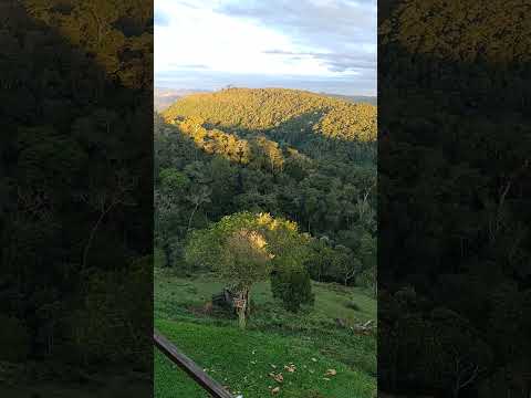 Primeira vez no sítio colina em Presidente Nereu SC #paisagemnatural #birds
