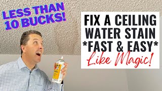 How to Fix a Ceiling Water Stain - Less Than 10 Bucks!
