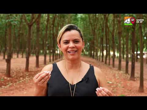 Sabor de SP: Press Trip 2025 - Polo 14 Fernandópolis