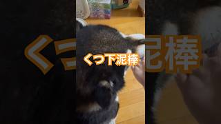 くつ下泥棒