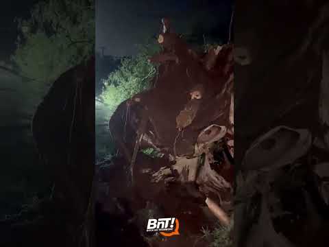 Forte temporal assusta moradores e causa estragos em Telêmaco Borba
