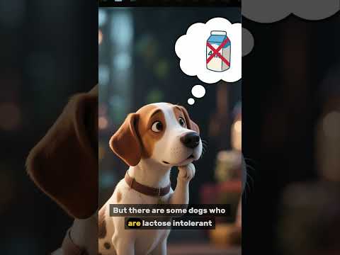 The Truth About Dogs and Ice Cream #shorts #dog