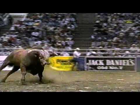 Red Wolf bucks Shawn Turner - 96 PBR San Jose
