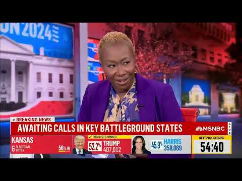 MSNBC Election Meltdown Compilation 2024