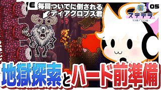 【Terraria/5日目】地獄になりそうな地獄探索！ハード前の最後の下準備と行きましょう【ステテラ】