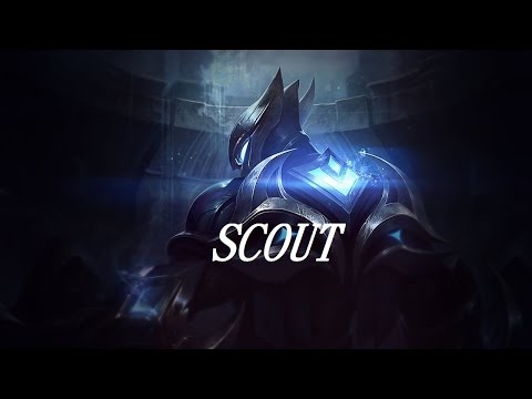ZED montage "EDG Scout" 2015~2016