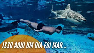 MERGULHO NA CHAPADA DIAMANTINA | PRATINHA | LENÇÓIS BAHIA