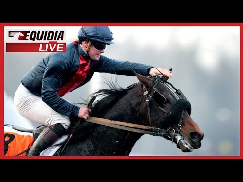 PRIX DE VINCENNES 2010 | Texas Charm