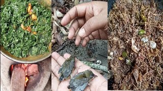 কাঁঠাল বিচি দিয়ে শাক রান্না করলাম সাথে তাজা তাজা ইলিশ মাছের ঘাঁটি রান্না করলাম। #viralvideo