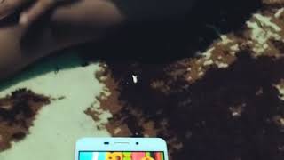 Download lagu Lucu belajar nama hewan umur 18 bulan mp3 Download lagu Lucu belajar nama hewan umur 18 bulan mp3