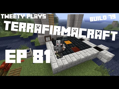 Tweety plays Terrafirmacraft ep 81 - Everything Iron