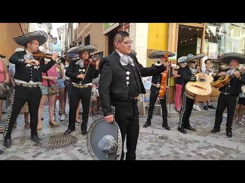 Video 6 de Mariachi Jalisco Tarragona