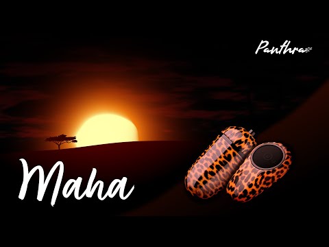 Panthra Maha Vibrating Egg - ONE-DC Wholesale