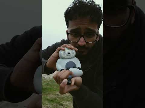 Mr Sloth - 9 Days Away #shorts