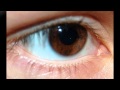 Brown Eyed Girl        Jimmy Buffett - lola faulkner Brown Eyed Girl        Jimmy Buffett