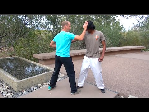Tai Chi Combat - Repulse the Monkey